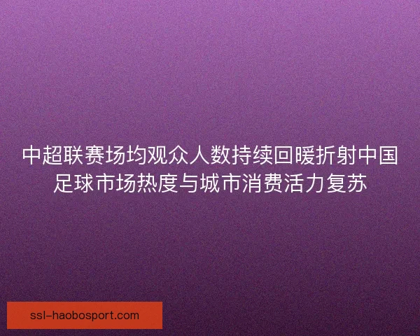 中超联赛场均观众人数持续回暖折射中国足球市场热度与城市消费活力复苏